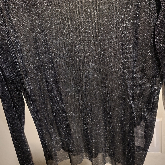 Zara Sheer Sparkle Top - Picture 2 of 3